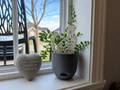 Ornement / décoration de chat pour pot de plante